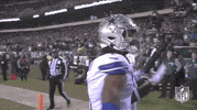 Flapping Regular Season GIF by NFL