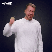 Well Done Ok GIF by SWR3