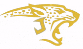 Gold Jag GIF by JohnsonHSBand