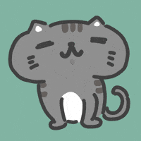 Meowing Tabby Cat GIF
