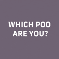 Toilet Paper Poop GIF by Bonny Fiber