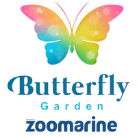 Happy Butterfly Garden Sticker by Zoomarine Algarve