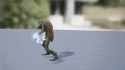 Animation Fantasy GIF by Astral Clocktower Studios