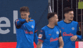 Celebration Goal GIF by Holstein Kiel