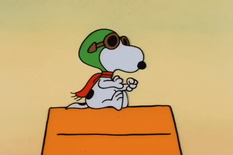 Charlie Brown Halloween GIF by Peanuts