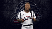 Florida Softball GIF by USSSA Pride