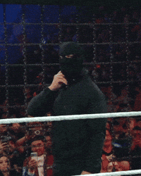 Seth Rollins Wwe GIF