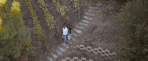 GIF by Demi Lovato