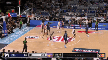 Basketball GIF by Melbourne United
