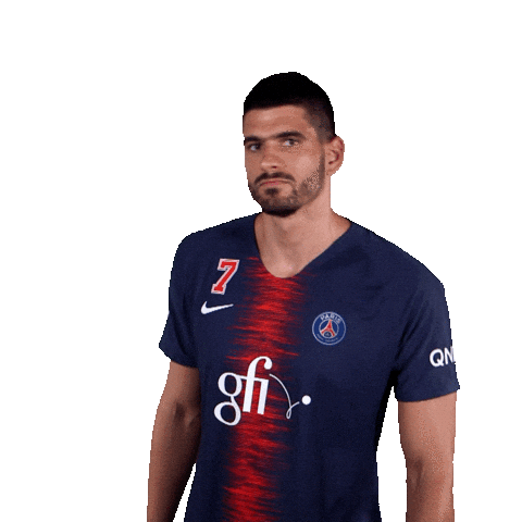 luka stepancic ok Sticker by Paris Saint-Germain Handball