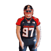 American Football Sticker by Düsseldorf Panther