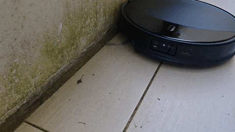 CNETFrance giphyupload GIF