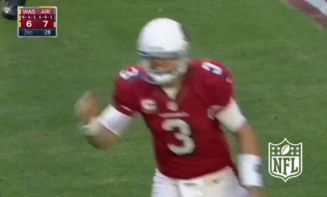 Arizona Cardinals Football GIF by NFL