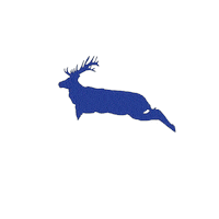 Salud Sticker by Quezalteca Oficial