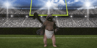 super bowl 2016 GIF by Mountain Dew