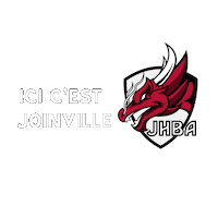 JoinvilleHandball logo handball joinville teamrougesetblancs Sticker