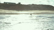 Beach Horse Riding GIF by Transmission Films