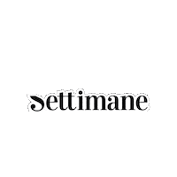 SettimaneSocialiTrieste al cuore della democrazia settimane sociali trieste settimane sociali Sticker