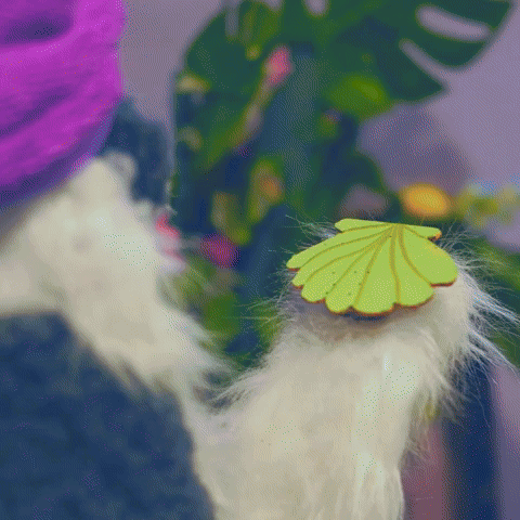 Who is she?