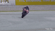 Sport GIF by MotoGP