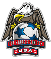 United States Of America Football Sticker by Avery Dennison