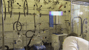 Art Video GIF by jorgemariozuleta