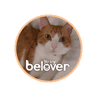 Cat Simon Sticker by Befoods Chile