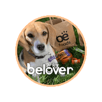 Dog Megan Sticker by Befoods Chile