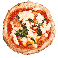 pizzanapoletanaverace pizza lovepizza pizzanapoletana ilovepizza Sticker