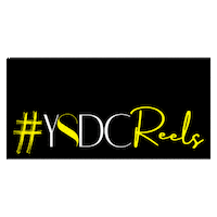 Ysdc Sticker by YellowStripe Dance