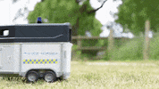 skintdressagedaddy police horses law cops GIF