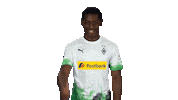 Happy Borussia Moenchengladbach Sticker by Bundesliga