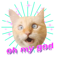 Oh My God Omg Sticker