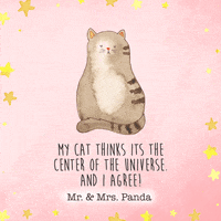 Cat Loving GIF by Mr. & Mrs. Panda