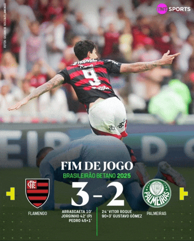 Palmeiras GIF