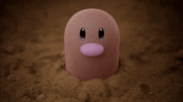 Bunny Look At Each Other GIF by Pokémon