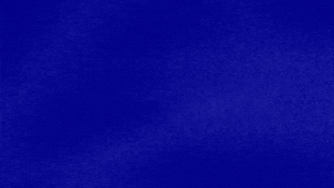 Look What The Cat Dragged In GIF by Jeopardy!