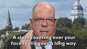 Larry Hogan Face Mask GIF by GIPHY News