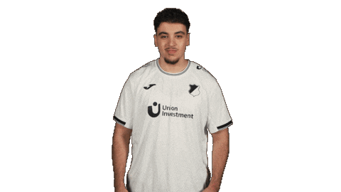 Tsg Hoffenheim Football Sticker by Bundesliga