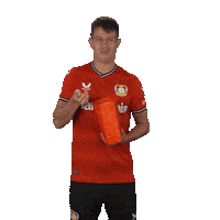 Excited Football Sticker by Bayer 04 Leverkusen