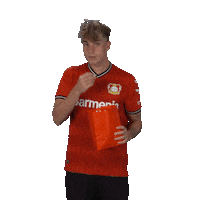 Excited Football Sticker by Bayer 04 Leverkusen