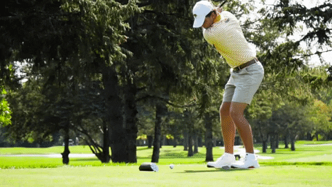 Galvin GIF by NDSU Athletics