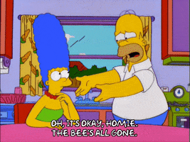 homer simpson GIF