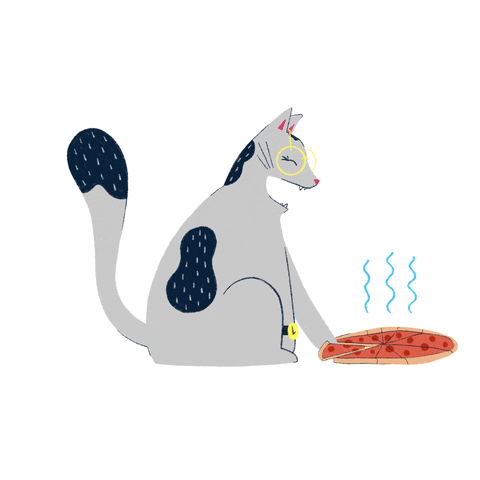 Hungry Cat GIF by Quarks