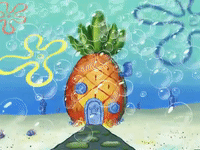 season 6 episode 10 GIF by SpongeBob SquarePants