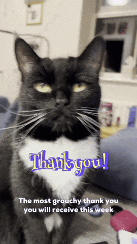 Black Cat Thank You GIF
