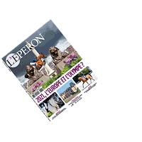 Leperon magazine mag cheval equitation Sticker