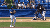 Blue Jays Mlb GIF by Toronto Blue Jays
