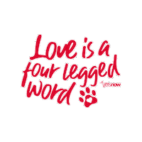 Valentine Sticker by Vets Now