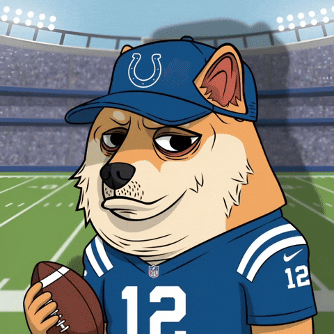 Indianapolis Colts Football GIF by Doge Pound